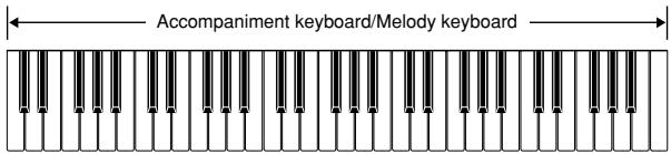 CASIO WK-110 - FULL RANGE CHORD Accompaniment Keyboard and Melody Keyboard - 2