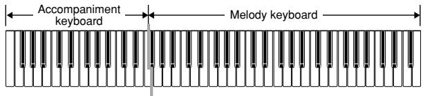 CASIO WK-110 - FINGERED Accompaniment Keyboard and Melody Keyboard - 1