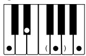 CASIO WK-110 - NOTE - 14