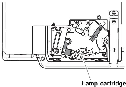CASIO XJ-S31 - Important! - 3