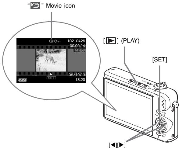 CASIO YC-430 - Viewing a Movie - 1