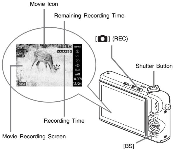 CASIO YC-430 - Shooting a Movie - 1