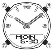 CASIO 2747 - About This Manual - 1