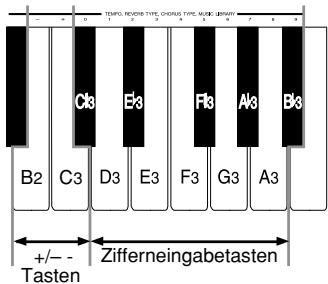 CASIO CELVIANO AP-45 - Einstellen der Lautstärke der Split-Klangfarbe - 1