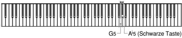 CASIO CELVIANO AP-45 - Verwendung der Barock-Tonhöhe - 1