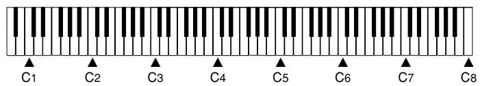 CASIO CELVIANO AP-45 - HINWEIS - 2