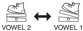 ROLAND AW-3 - Using the EXP/CTL Jack - 1