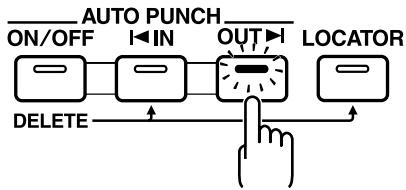 AUTO PUNCH ON/OFF I IN OUT LO DELETE