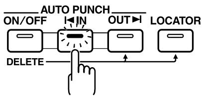 AUTO PUNCH ON/OFF IN OUT LOCATOR DELETE