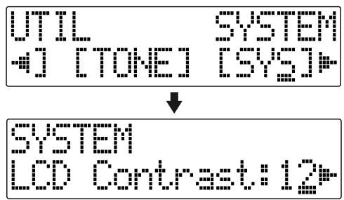 ROLAND BR-600 - Adjusting the Display Contrast - 2