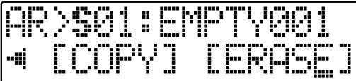 ROLAND BR-600 - Erasing Arrangements - 1