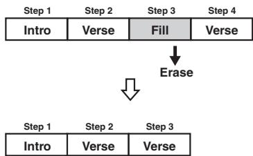 ROLAND BR-600 - Erasing Steps - 1