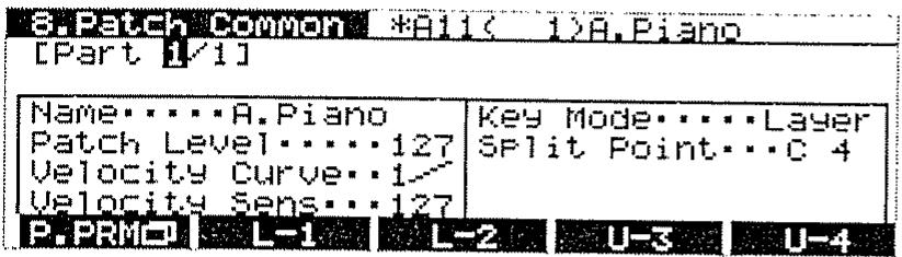 ROLAND D-70 - Type - 1