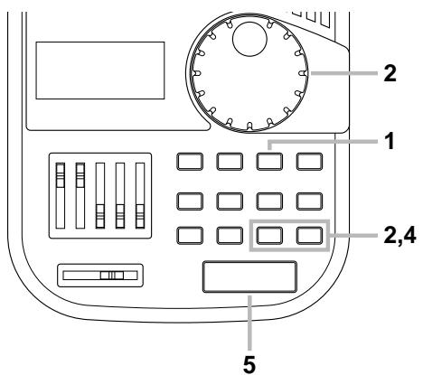 ROLAND DB-88 - Playback in the Loop Mode - 1