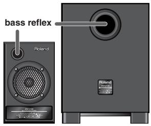 ROLAND DM-2100 - Cautions regarding connections and placement - 1