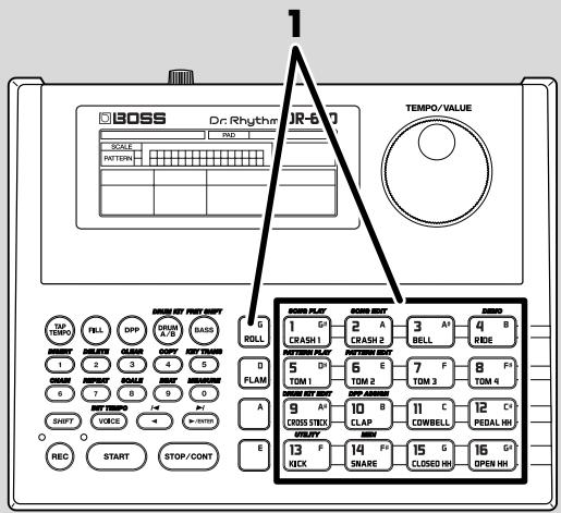 ROLAND DR-670 - Specialized Performance Techniques (Roll) - 1