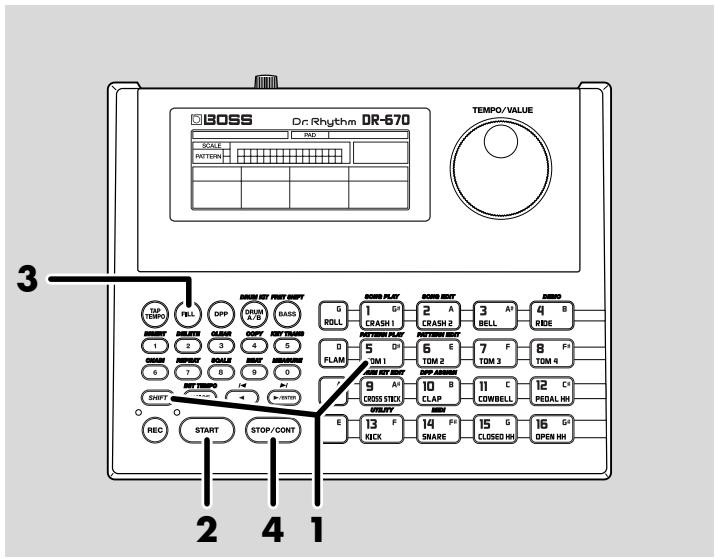 ROLAND DR-670 - Inserting Fill-Ins - 1