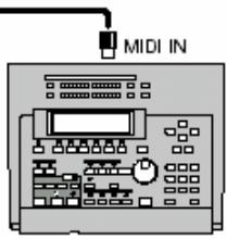 MIDI IN