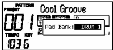 PATTERN PRESET 001 TIMPO KEY 1036 Cool Groove Pad Bank: DRUM 1