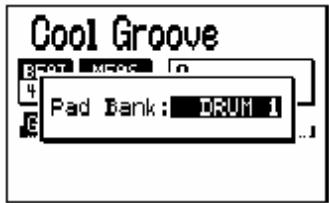 Cool Groove B: 0.01 M205 C 4 E Pad Bank : DRUM 1 ..1
