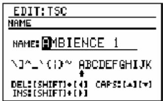 EDIT:TSC NAME NAME: AMBIENCE 1 ^]^_^(1)~ ABCDEFGHIJK DEL:[SHIFT]+[4] CAPS:[▲][▼] INS:[SHIFT]+[4]