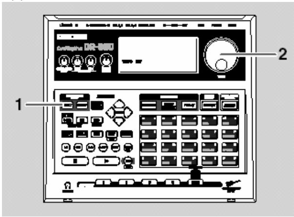Audio DR-100 1 2