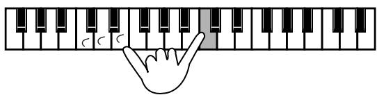 ROLAND E-80 - Dynamic Split - 3