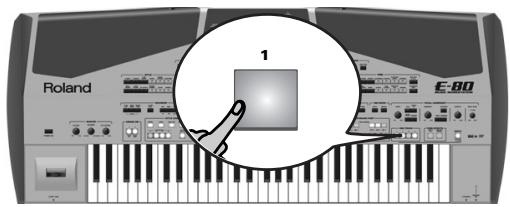 ROLAND E-80 - One Touch - 1