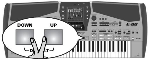 ROLAND E-80 - Default - 1