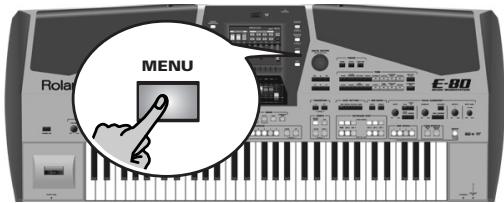 ROLAND E-80 - Hold Footswitch (Sustain) - 1