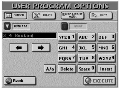 ROLAND E-80 - User Program Options - 1
