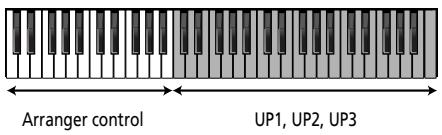 ROLAND E-80 - ■Setting the split point - 1