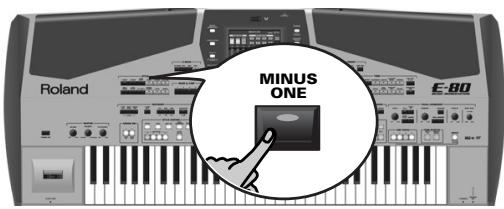 ROLAND E-80 - Minus One - 1