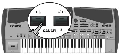 ROLAND E-80 - Transposition - 1