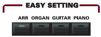 ROLAND E-80 - Arranger, Organ, Guitar and Piano modes - 1