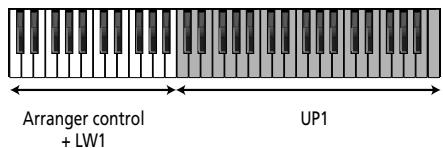 ROLAND E-80 - Arranger, Organ, Guitar and Piano modes - 3