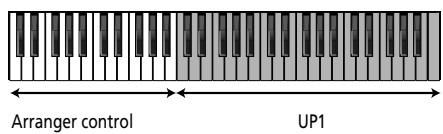 ROLAND E-80 - Arranger, Organ, Guitar and Piano modes - 2