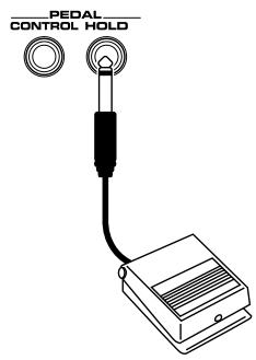 ROLAND FANTOM X8 - Pédale de maintien - 1