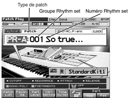 ROLAND FANTOM X8 - XP-A-D (cartes d'extension installées dans les connecteurs exp-a-d) - 1