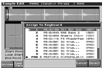 ROLAND FANTOM X8 - En mode performance - 2