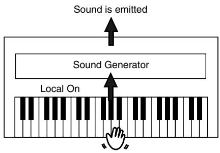 ROLAND FP-2 - Switching Local Control On and Off - 2