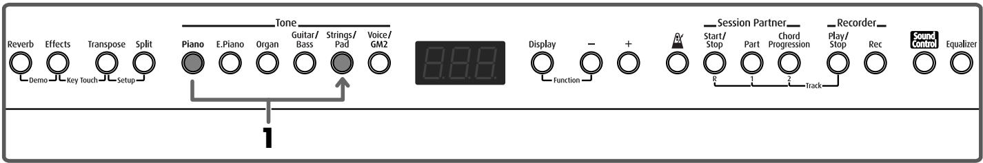 ROLAND FP-2 - Performing With Two Layered Tones (Dual Play) - 1