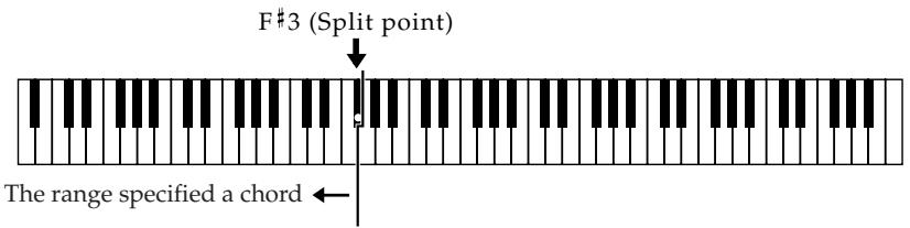ROLAND FP-2 - NOTE - 2