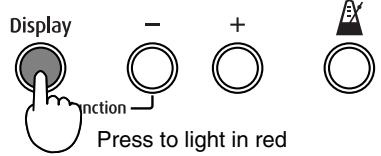 ROLAND FP-2 - Press the [Display] button, getting its indicator to light in red. - 2