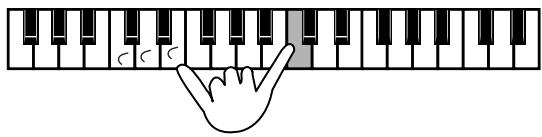 ROLAND FR-5 - ■Sélection du mode Orchestra - 3