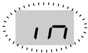 17