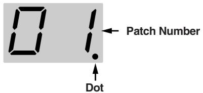 01 Dot Patch Number