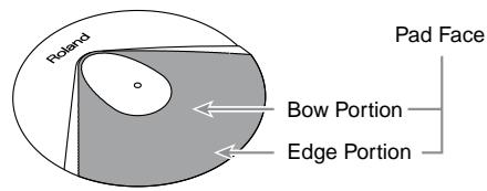 ROLAND PD-6 - Contents of the Package - 1