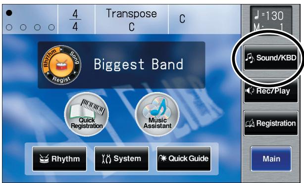 ROLAND AT-800 - Touch  on the Main screen. - 1