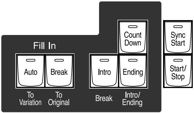 ROLAND AT-800 - Place the panel overlay sheet as shown in the illustration below. - 1